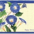 Morning Glory Bday Card