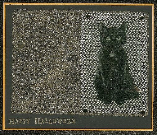 Happy Halloween -  Mesh Cat