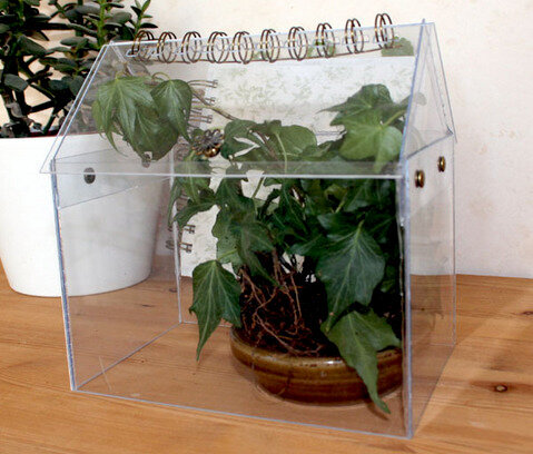 Mini Greenhouse Made from Acrylic