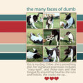 The Many Faces of Dumb