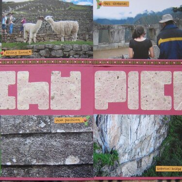 Machu Picchu