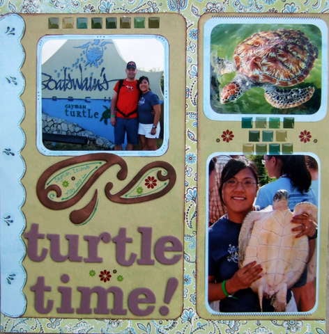 Turtle Time!