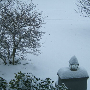 Snow  Dec 21st