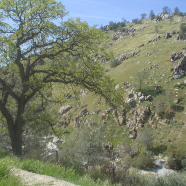 Kern Canyon