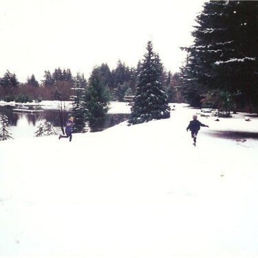 snow @lake Tadmore