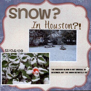 Snow?  In Houston?!