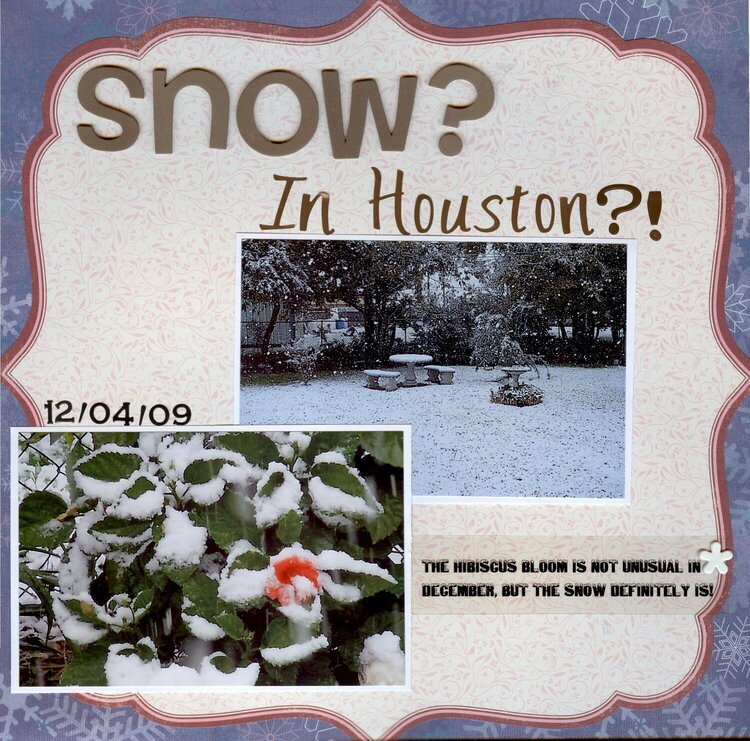 Snow?  In Houston?!