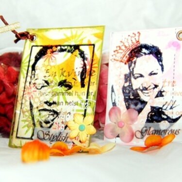Expression ATCs (Transparency)