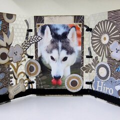 Hiro Altered Tri-Fold Frame