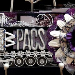 The PACS 2008 Clear Album