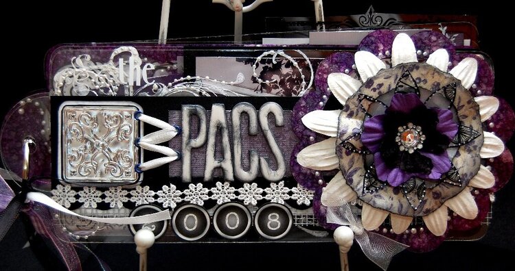 The PACS 2008 Clear Album