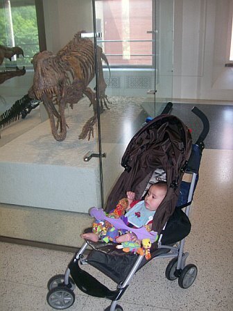 Sean at the Museam of Natural History