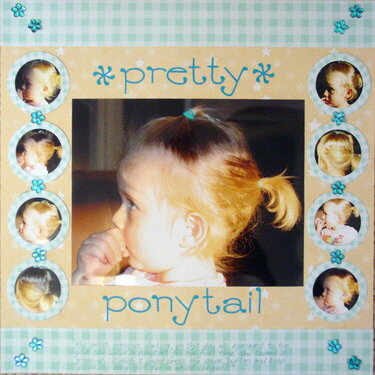 Pretty Ponytail