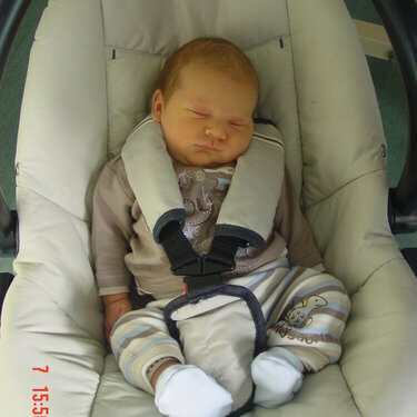 Coming home in his carseat