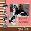 Miss Dixie
