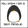 a little funny penguin