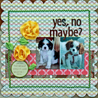 yes, no - maybe?  **Pebbles, Inc.**
