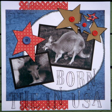Born in the USA OOPS MIS-DID THE TITLE!!!