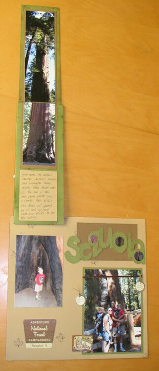Sequoia Twist and Flip Pocket Page 3