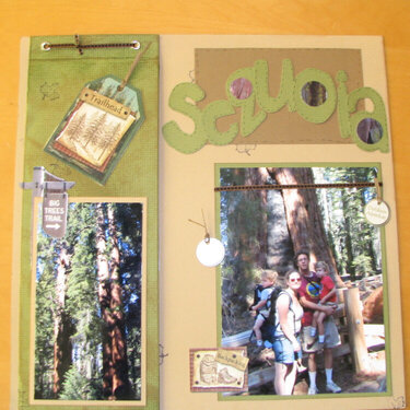 Sequoia: Twist and Flip Pocket Page