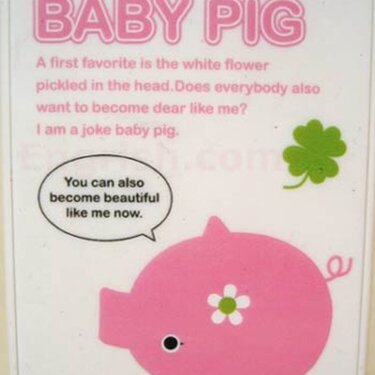 I am a joke baby pig