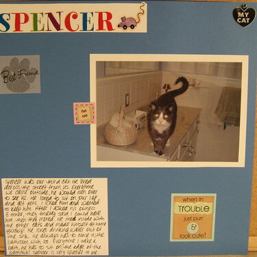 My Cat Spencer