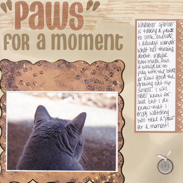 &quot;Paws&quot; for a moment