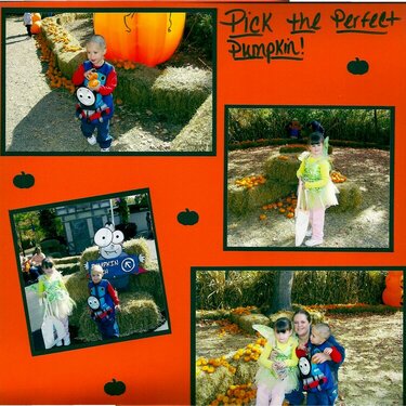 Pick The Perfect Pumpkin