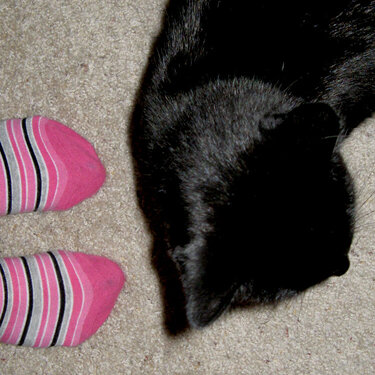 cute socks!