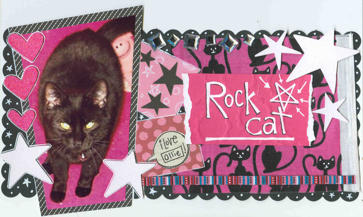 Rock Star Cat