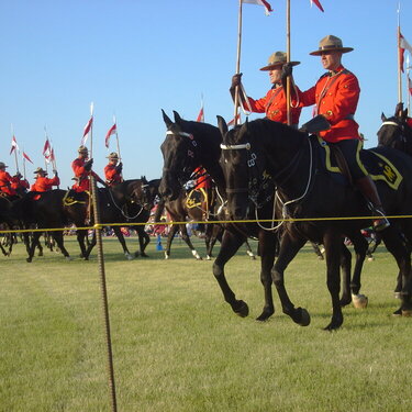 RCMP Musical Ride