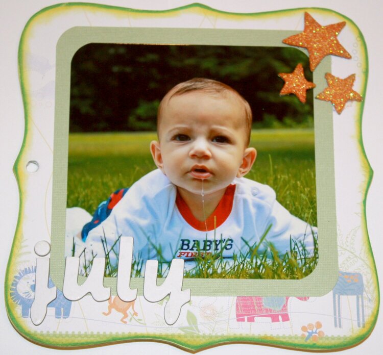 Baby Milestones Mini Album *LYB*