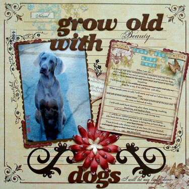 Grow Old With Dogs
