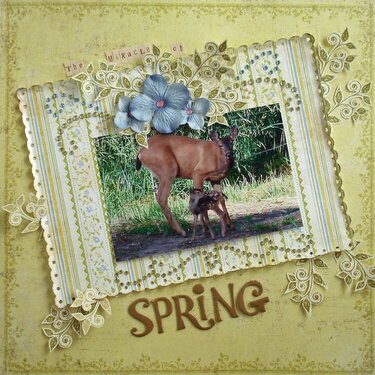 The Miracle of Spring**SB&amp;B**