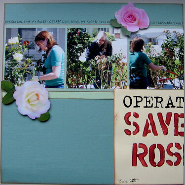 Operation: Save my Roses Left