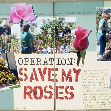 Operation: Save My Roses