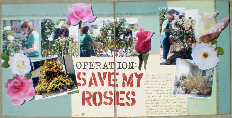 Operation: Save My Roses