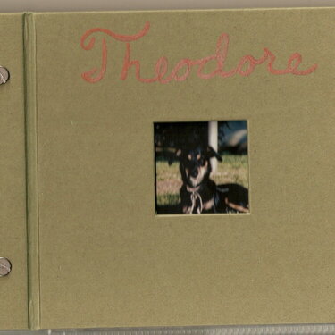 Theodore&#039;s album