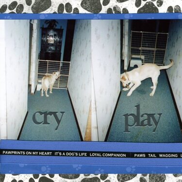 Cry/Play