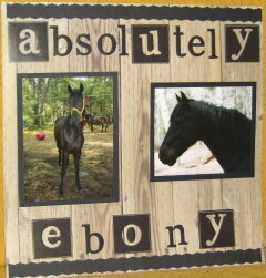 Ebony, the perfect horse