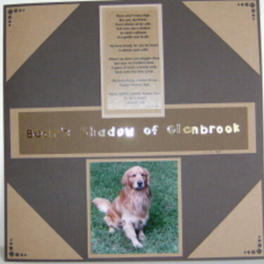 Bear&#039;s Shadow of Glenbrook