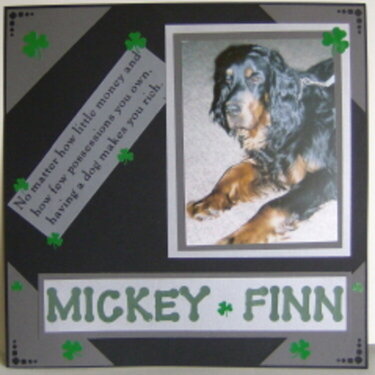 Mickey Finn, my Gordon Setter