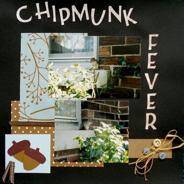 Chipmunk Fever