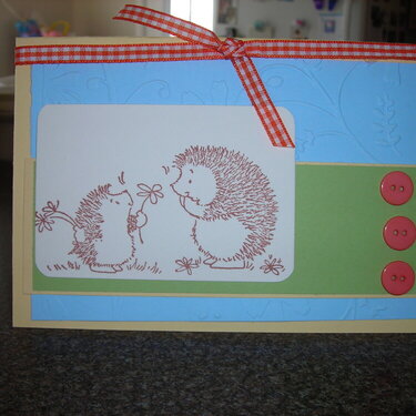 Hedgehog cuties~