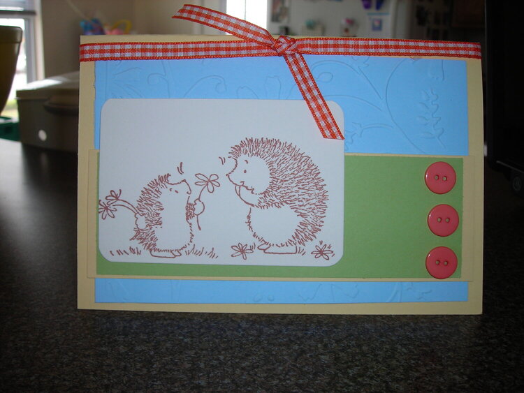 Hedgehog cuties~