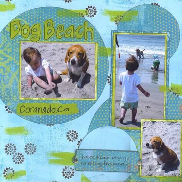 Dog Beach Coronado