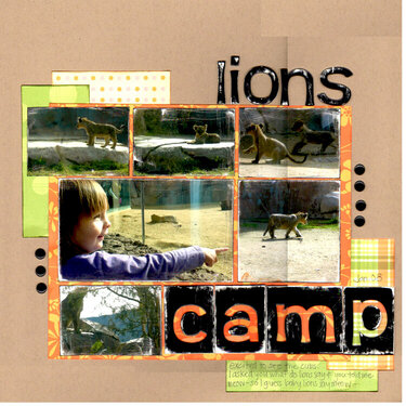 lions camp