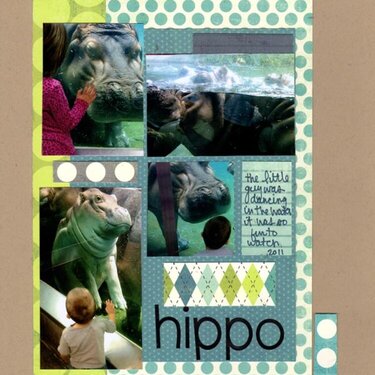 more hippos