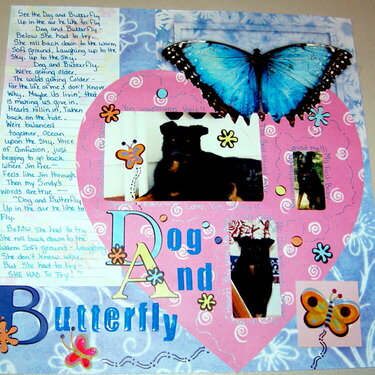 Dog And Butterfly