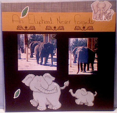 An Elephant Never Forgets